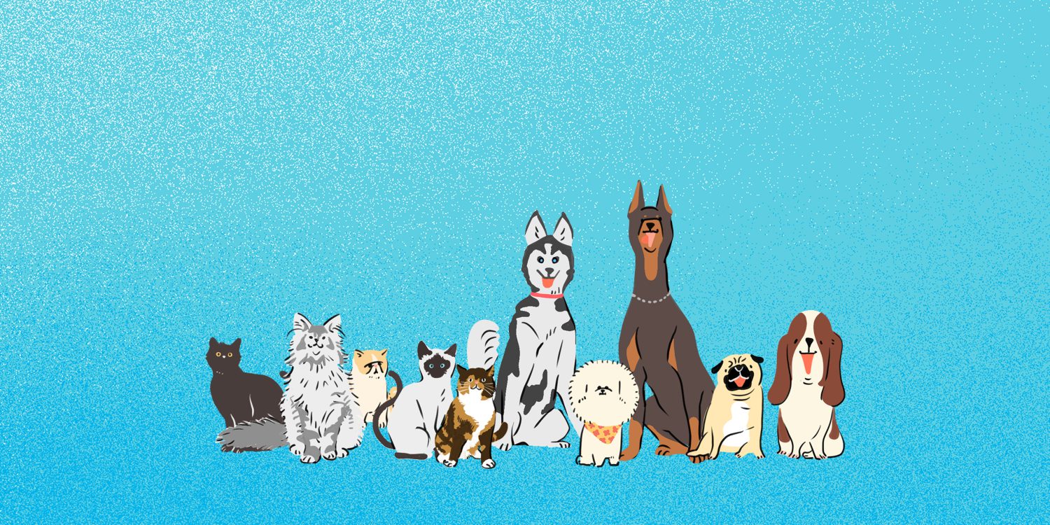 10匹の猫と犬が横に並んだイラスト
